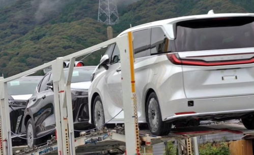 國產(chǎn)車或許難敵的神車？地表最貴“面包車”雷克薩斯LM售價(jià)揭曉